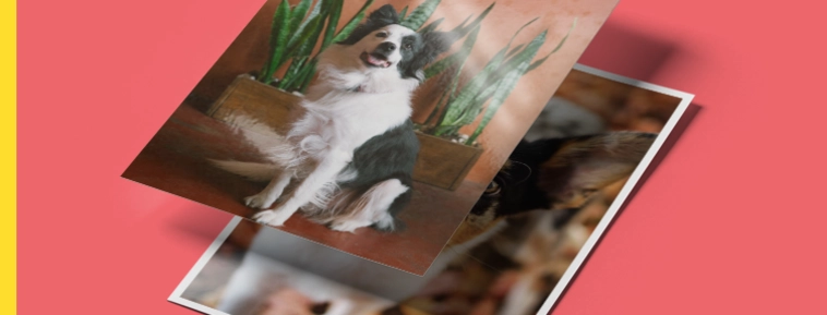 Klasična razvijalna fotografij